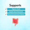 Natural Gut Wellness Powder - Image 5