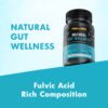 Natural Gut Wellness Powder - Image 2